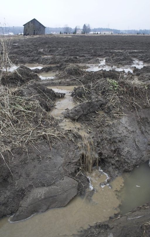 Pellon vesieroosiota. Kuva: Pasi Valkama (SYKE)